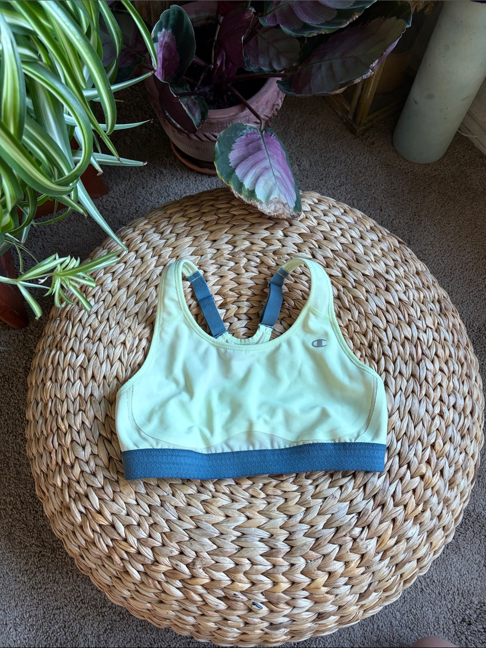 Champion Pale Yellow Sports Bra with Gray Band